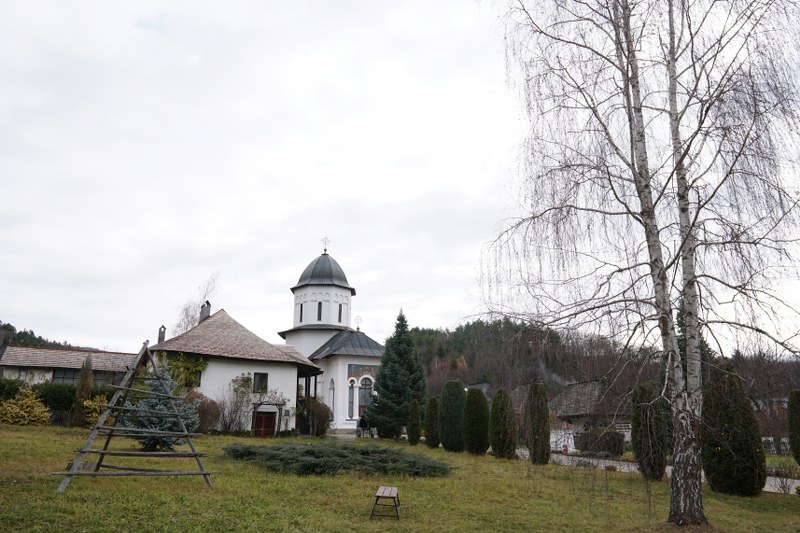 1_800x533.jpg