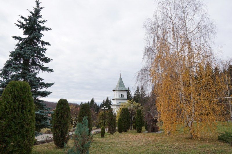 4_800x533.jpg
