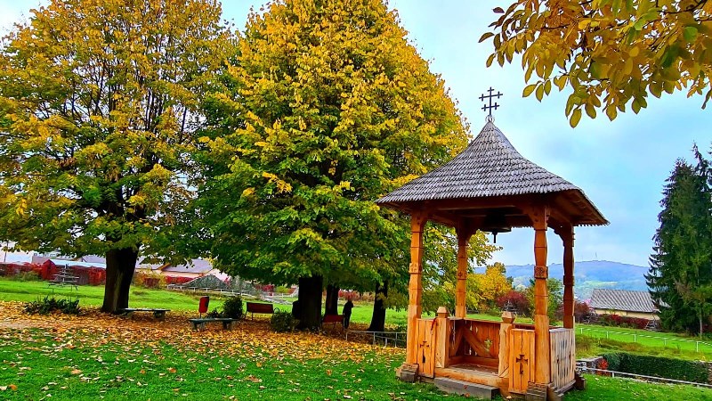 13_800x450.jpg