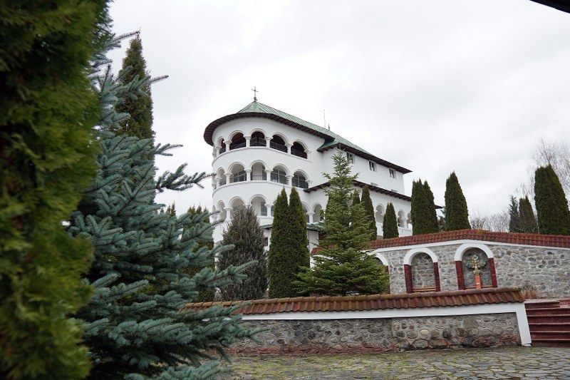 1_800x533.jpg