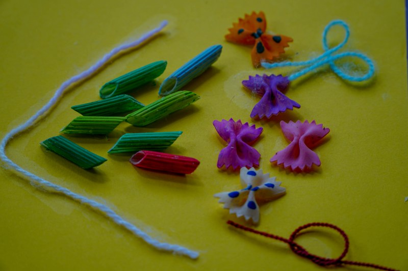 DSC00554_800x533.jpg