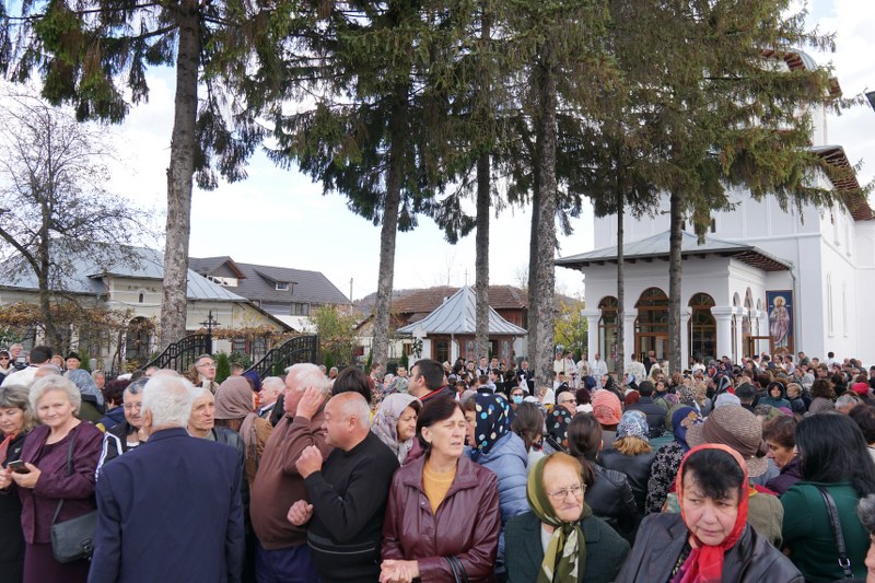 9_800x533.jpg