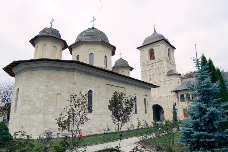 1_800x533.jpg