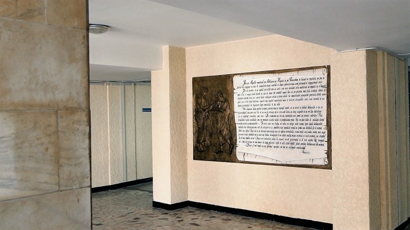 9_800x450.jpg